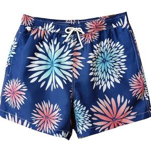Men’s Beach Shorts Swim Trunks
